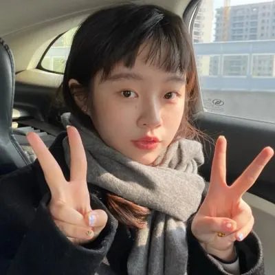 隐形红翼