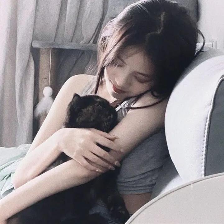 无爱理想国