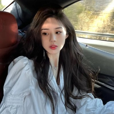 哈利波特:凤凰会的密令